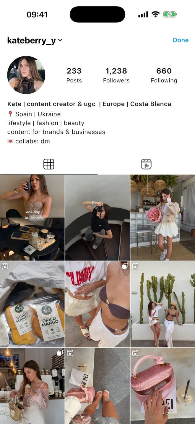 The profile preview, with planned posts laid into the grid.
